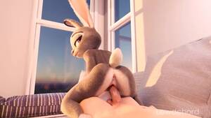 Judy Zee Porn - Judy Hopps Riding your Cock - Pornhub.com