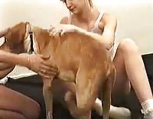 Family Bestiality Porn - Family beastiality - Extreme Porn Video - LuxureTV