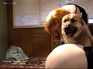 Mature Amateur Pet Porn - Mature woman loves amateur dog sex - LuxureTV