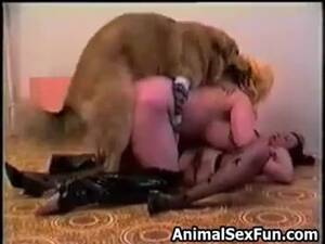 Chessie Moore Bestiality Porn - Pair of bodacious lesbians lovers explore each other while one gets screwed  by a big dog - LuxureTV