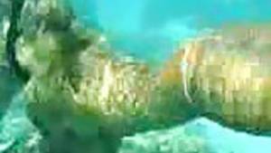 Beach Underwater Porn - Mauritian beach fuck