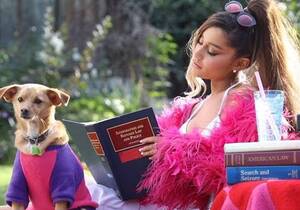 Harry Potter Ariana Grande Porn - Ariana Grande Pets: Complete Guide to Her Dogs and Pig, Photos | J-14