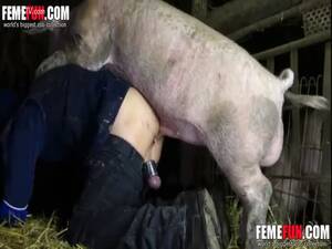 Having Sex With Pig Porn - FemeFun: Woman having sex with a pig in farm porn - LuxureTV