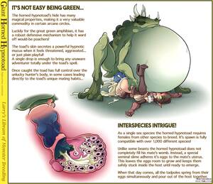 Anime Monster Porn Breeding - Brutal Gay Monster Breeding | Gay Fetish XXX