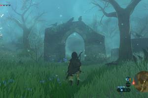 lost in the forest - The Lost Woods are the key to Korok Forest and more Nintendo via Polygon ...