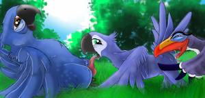 cartoon porn birds - Statistics