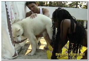Black Bestiality Porn - AnimalFlix.Com - Black Girl And Two Dogs â‹† Beastiality.Club