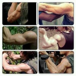 Daryl Dixon Arm Porn - 670 Norman Reedus ideas | norman reedus, norman, daryl dixon