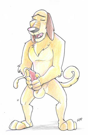 Johnny Test Testicles 2 Porn - Statistics