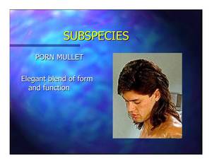 Girls With Mullets Porn - ... girls; 11. SUBSPECIES PORN MULLET ...