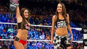 Bella Twins Porn Site - nikki bella News, Rumors and Information - Bleeding Cool News Page 1