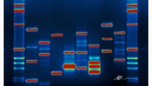 Gears Of War Judgment Porn - Intelligent Design On Another Planet?