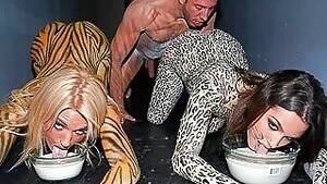 Body Paint Porn Parody - Body Painting - Free Porn Tube - Xvidzz.com