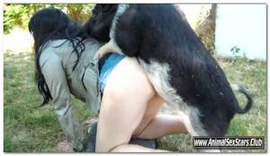 Boar Sex Porn - 44 - Wild Boar Fucks A Girl - Sex With Pigs â‹† Beastiality.Club