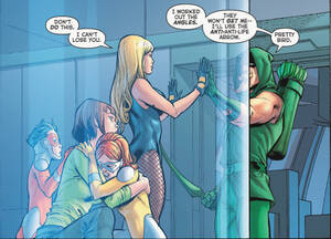 Green Arrow Porn - aksisprime: Black Canary and Green Arrow in Final Crisis (2008) Tumblr Porn