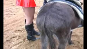 bbw donkey sex - Latex bitch riding donkey - XNXX.COM