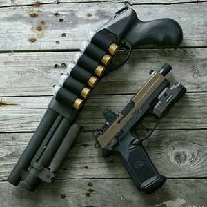 Gauge Porn Borderlands - Sawed off 12-gauge shotgun