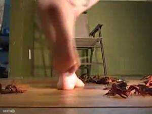 Crush Barefoot - Tammy Barefoot Crawadad Walkover : XXXBunker.com Porn Tube