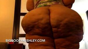 bbw juicy ass - Watch Asshley Big Booty Juicy Ssbbw - Bbw, Ssbbw, Bbw Ass Porn - SpankBang