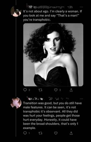 Julia Louis Dreyfus Anal Porn - Julia Dreyfus is a trans icon. : r/confidentlyincorrect