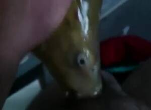 Fish Blowjob Porn - Fish Blowjob Gay Beast Com - boy Fucks Animal - Extrem Sex and Taboo Porn.