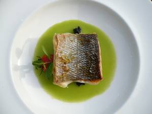 live asian food - sea bass