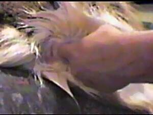 Deer Bestiality Porn - Deer Bestiality