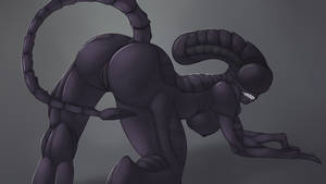 Alien 1979 Xenomorph Costume Porn - Xenomorph-Porn