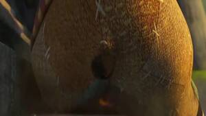 Kung Fu Panda Porn Fart - Farts In Animation (Dubbed) - ThisVid.com