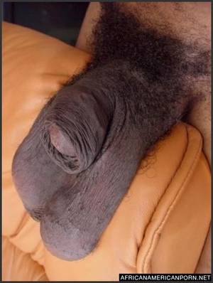 Black Nuts Porn - Private Photos And Videos Of Real Black Girlfriends In Hardcore Action Ã‚Â»  Submitted amateur black porn photos and videos you can find only here