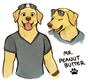 Anatomy Porn Show - mr peanutbutter porn - Google Search Â· Animal AnatomyCartoon ...
