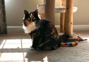 Abby Rode Big Tits At School Classroom - weekend free-for-all - August 25-26, 2018 â€” Ask a Manager