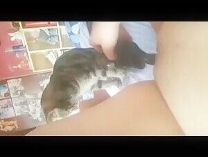 Cat Bestiality Porn - redpearls - My cat watching masturbating - BestialitySexTaboo - Bestiality  Sex Taboo