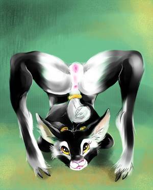 Black Cat Porn Solo - e621 2013 anthro anus black_fur caprine clitoris female flexible fur goat  horn mammal nude pussy sanssouci