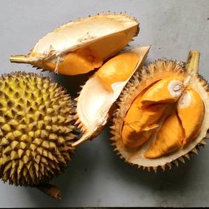 Fruits - Lei durian of kalimantan