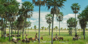 Goth Schoolgirl Porn - But he soon discovers his rulings are ignored, his requests disregarded,  and his status questioned. He's far from his wife in Buenos Aires, and his  native ...