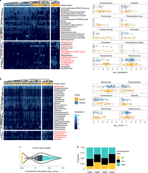 Miranda Cosgrove Rare Anal - The gut microbial metabolite formate exacerbates colorectal cancer  progression | Nature Metabolism