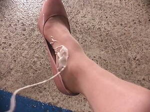 cum on nylon legs and feet - Free Cum On Nylon Legs Porn Videos (567) - Tubesafari.com