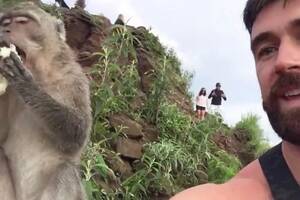 Celebrity Monkey Porn - Porn star tries to take selfie with vicious monkey â€“ instantly regrets it -  Daily Star