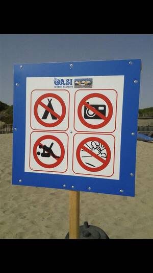 boner nude beach shots - Once again, the government telling us how to live our lives at the nude  beach : r/interestingasfuck