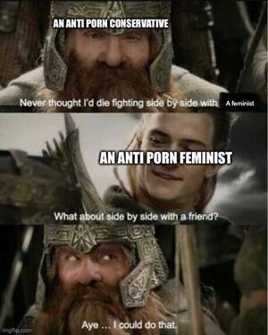 Feminism Porn Captions - I thought this meme I made would be relevant to the sub. No matter who you  are or what you believe, we can all agree that porn is an evil,  exploitative, and