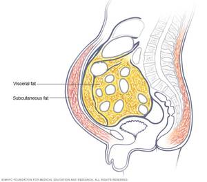 fat upper pelvic area - ... to the extra layer of padding located just below the skin (subcutaneous  fat). It also includes visceral fat â€” which lies deep inside your abdomen  ...