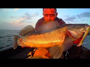 Monster Fish Porn - Numa Fishing : a fish porn !