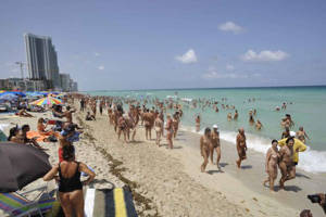 miami nudist beach pics gallery - Photo: Haulover Beach