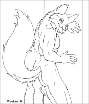 Anthro Wolf Base Porn - Wookiee- furry porn collection - 18 - Hentai Image