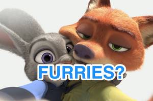 Furry Animal Vagina Porn - 