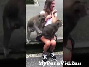Monkey Sex With Girl Porn - sex monkey in front of the womanðŸ”¥ðŸ˜²ðŸ˜‚ðŸ¤£ from monky sex girl ri Watch Video  - MyPornVid.fun