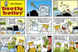 Beetle Bailey Sarge Porn - beetle bailey | Beetle Bailey | Comic Strip- Beetle Bailey | Pinterest | Beetle  bailey and Humor