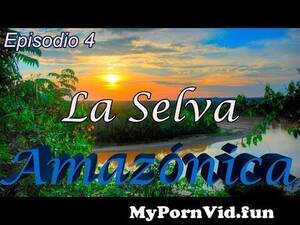 amazonia xxx - La Selva AmazÃ³nica, \\\