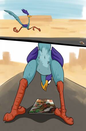 cartoon porn birds - Rule 34 - animal genitalia anus avian bent over bird cloaca hi res  landscape lizardlars looney tunes magazine male male only outside patreon  penis porn magazine pornography raised tail rear view road